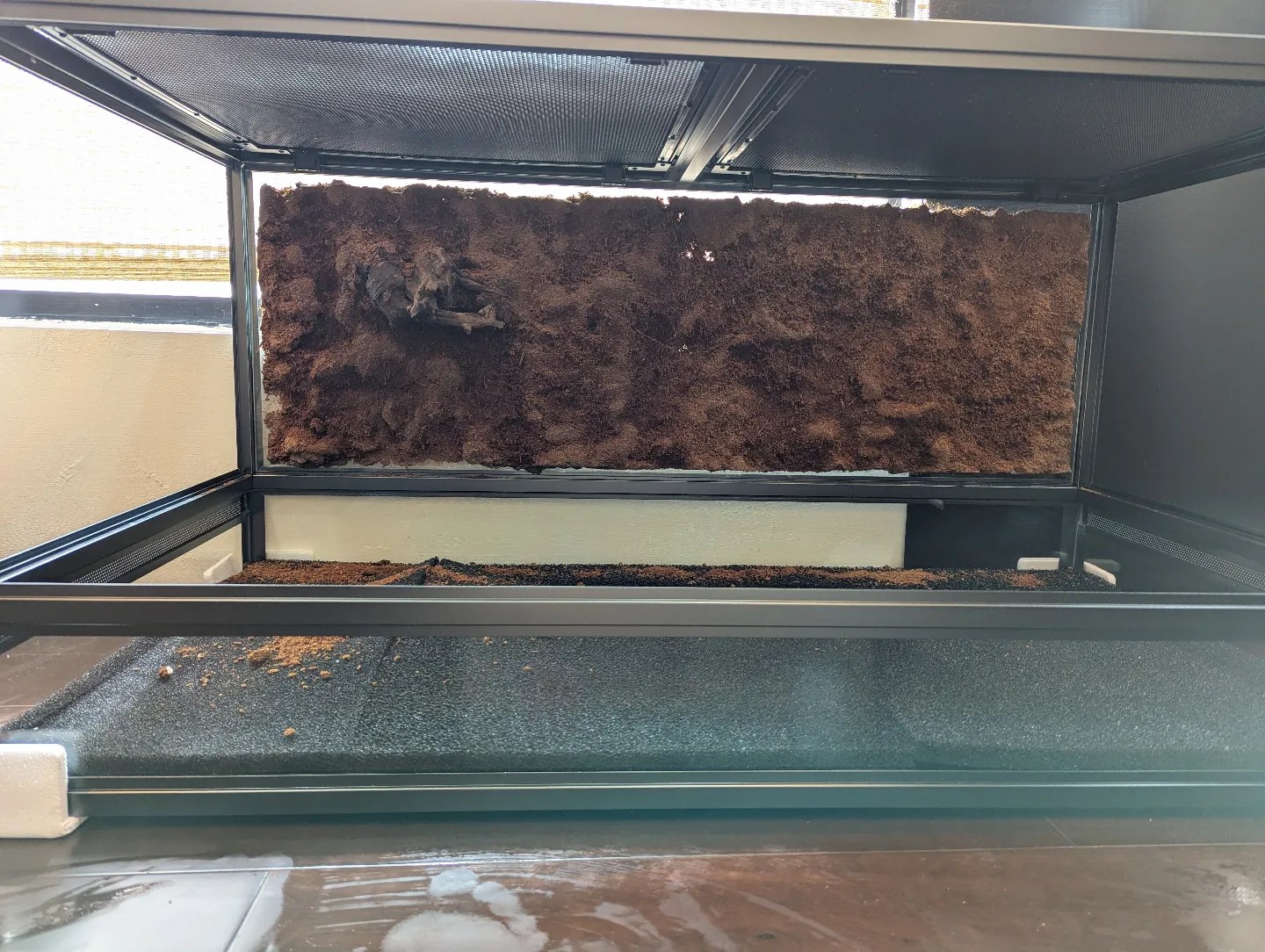球蟒缸底部整片鋪滿黑色高密度水族生化棉當排水層, 後方立著椰纖土背景板