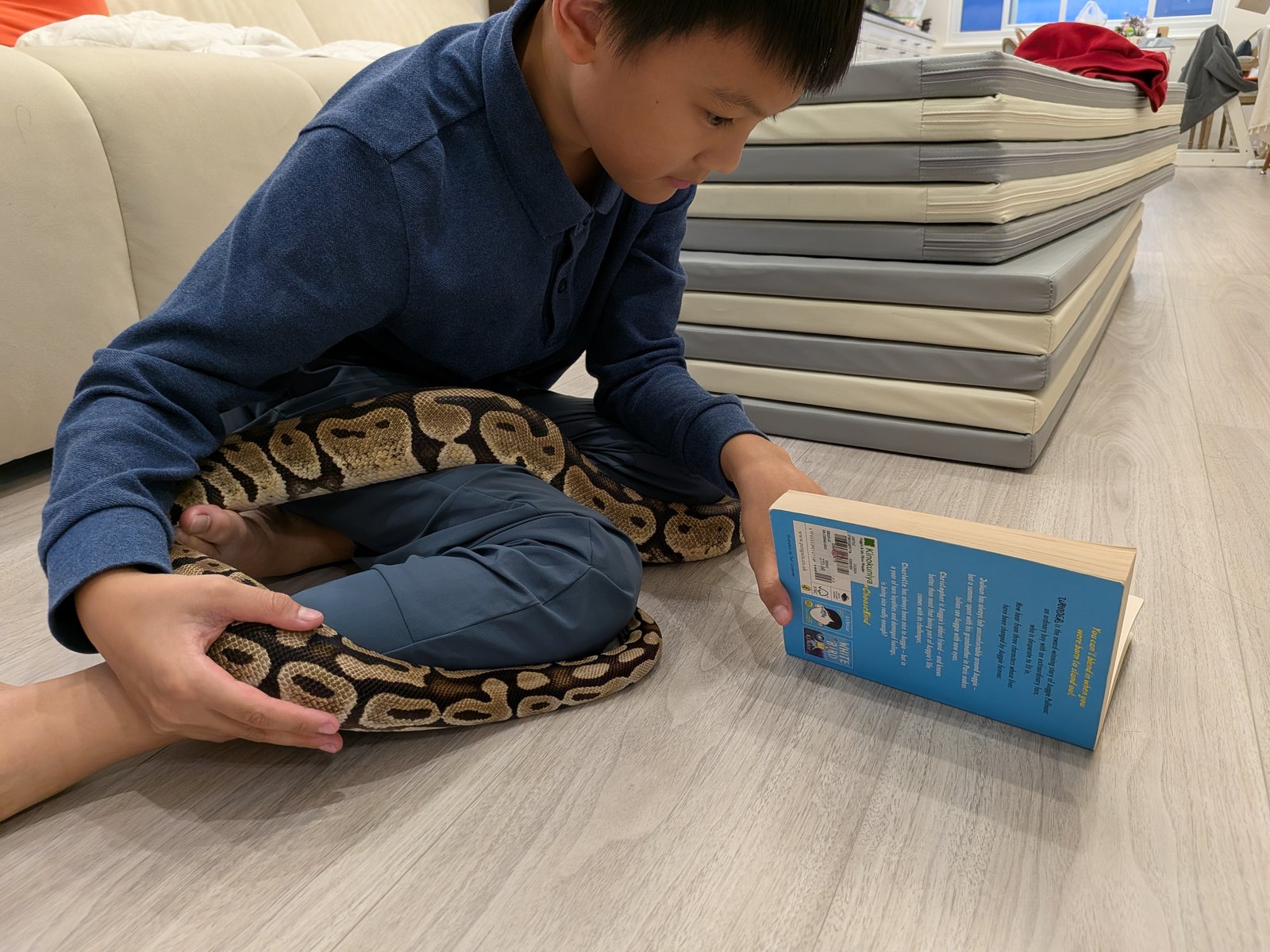 Eli 坐在地上看書, Koa 盤在他的腿上